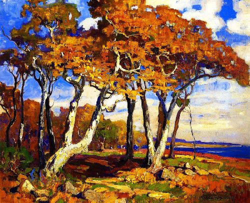 Sycamores Autumn