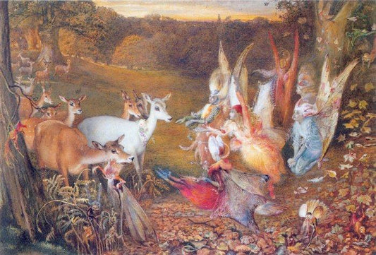The Enchanted Forest
