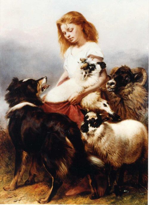 The Herd Lassie