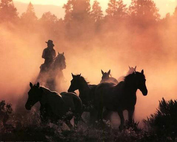 US West Paintings N050