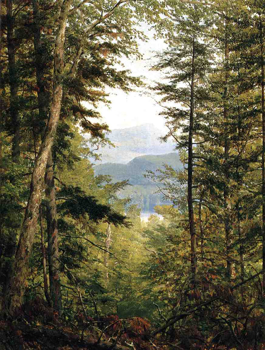 A Sketch on the Huntington River, Vermont