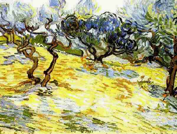 Olive Trees with the Alpilles in the Background