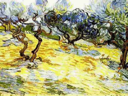Olive Trees with the Alpilles in the Background