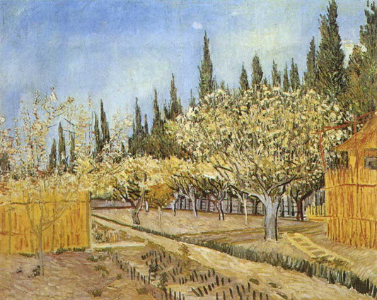 Orchard in Blossom Bordered by Cypresses Blue