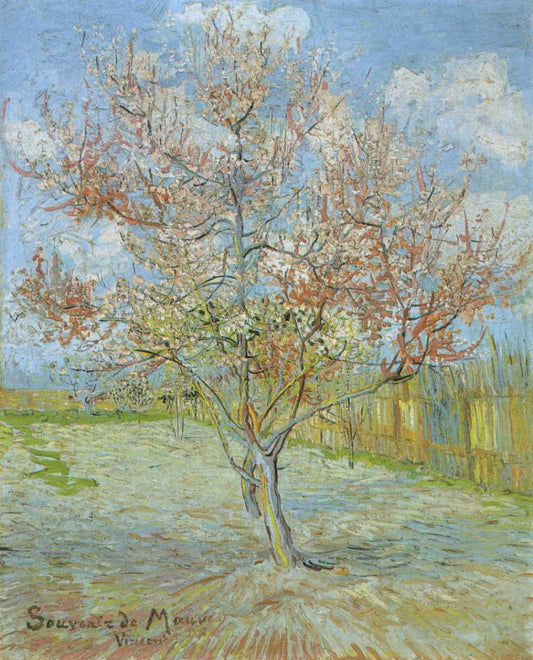 Souvenir de Mauve