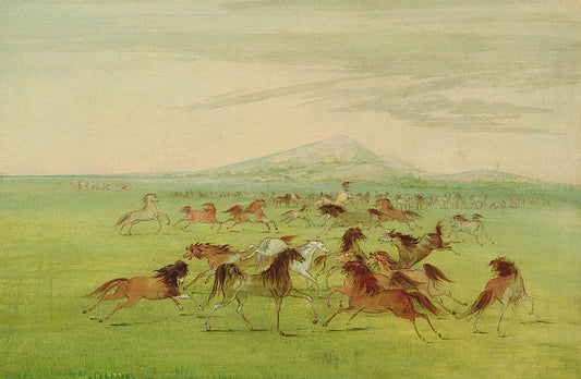 Wild Horses at Play