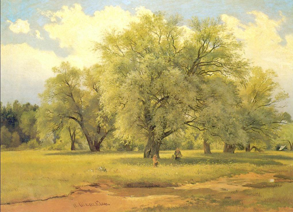Willows Lit by the Sun