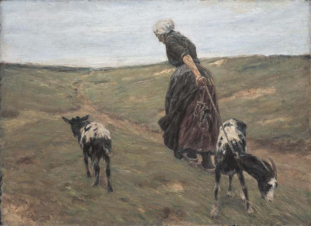 Woman with Goats in the Dunes